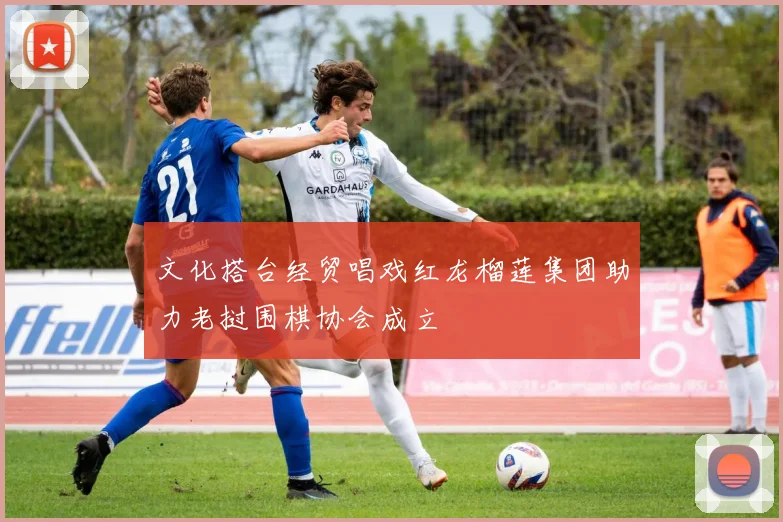 文化搭台经贸唱戏红龙榴莲集团助力老挝围棋协会成立