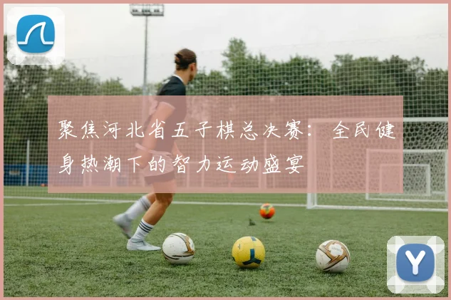 聚焦河北省五子棋总决赛:全民健身热潮下的智力运动盛宴