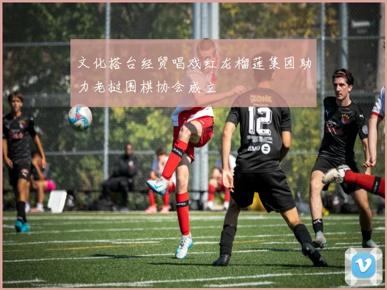 文化搭台经贸唱戏红龙榴莲集团助力老挝围棋协会成立